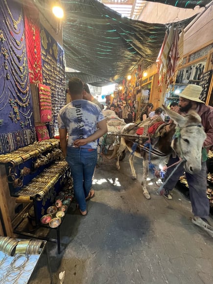 souks-donkey